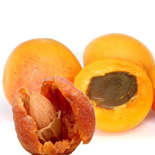 杏干新疆伊犁初级农产品树上干杏500g杏干吊死干新货杏干杏肉包邮